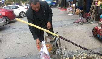 廣西糖廠(chǎng)食安事件折射產(chǎn)業(yè)短板 甘蔗清洗與空氣凈化設(shè)備研發(fā)亟待加強(qiáng)